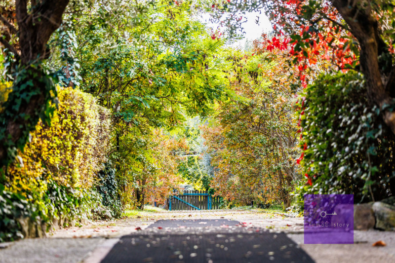 Una casa grande, oggi ristorante

Ci sono immobili che nascono con una funzione precisa
e altri c...