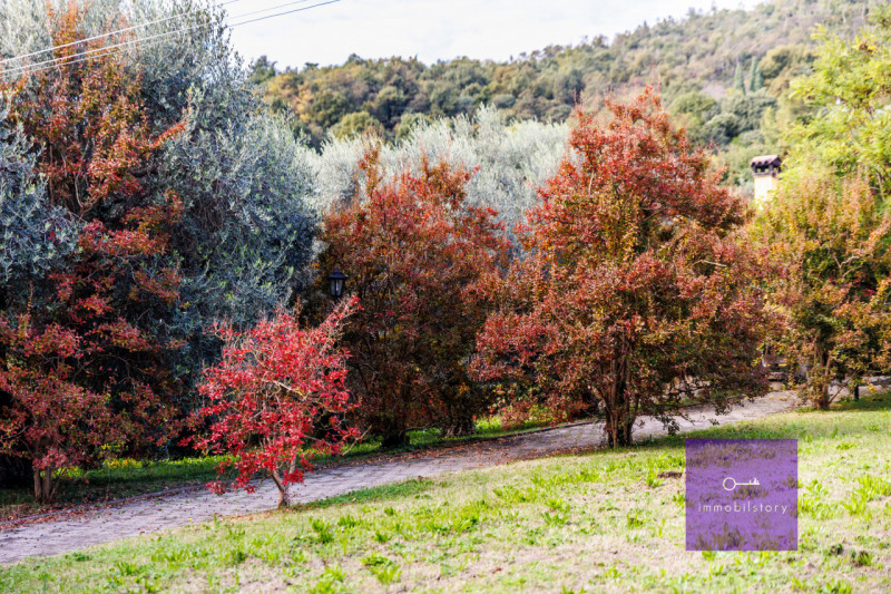 Una casa grande, oggi ristorante

Ci sono immobili che nascono con una funzione precisa
e altri c...