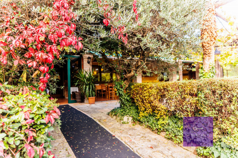 Una casa grande, oggi ristorante

Ci sono immobili che nascono con una funzione precisa
e altri c...