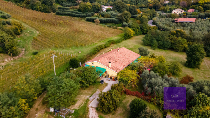 Una casa grande, oggi ristorante

Ci sono immobili che nascono con una funzione precisa
e altri c...