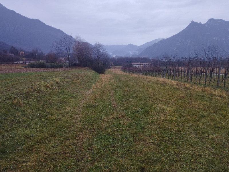 VELO D'ASTICO: Zona Campagna, TERRENO AGRICOLO di 1.500 mq completamente pianeggiante. EURO 6.000...
