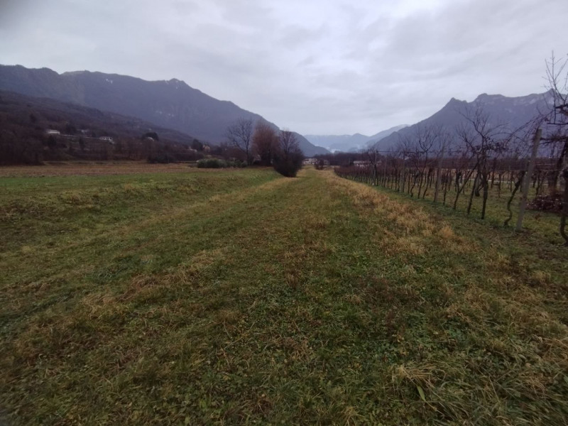 VELO D'ASTICO: Zona Campagna, TERRENO AGRICOLO di 1.500 mq completamente pianeggiante. EURO 6.000...
