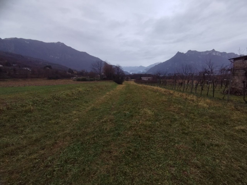 VELO D'ASTICO: Zona Campagna, TERRENO AGRICOLO di 1.500 mq completamente pianeggiante. EURO 6.000...