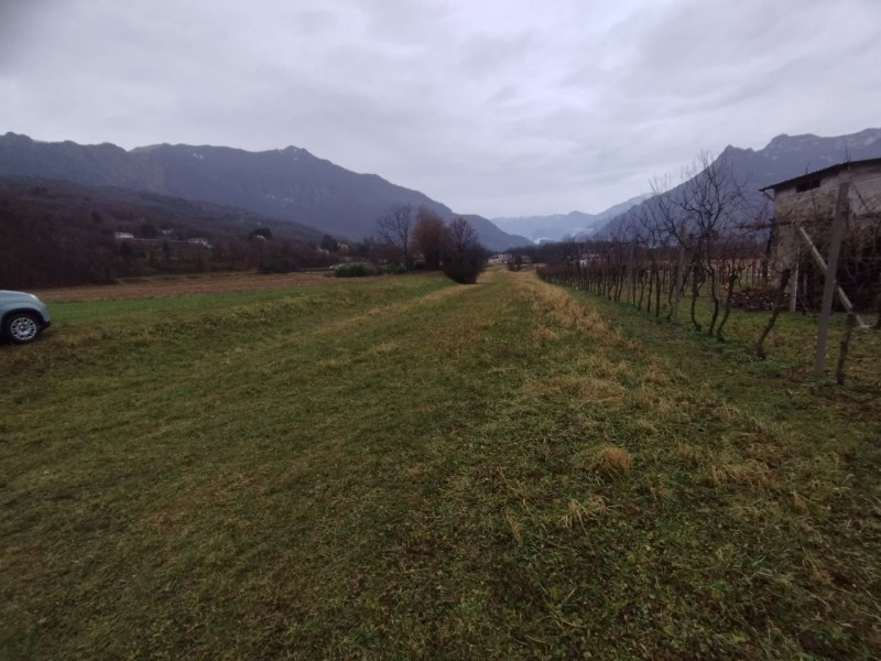 VELO D'ASTICO: Zona Campagna, TERRENO AGRICOLO di 1.500 mq completamente pianeggiante. EURO 6.000...