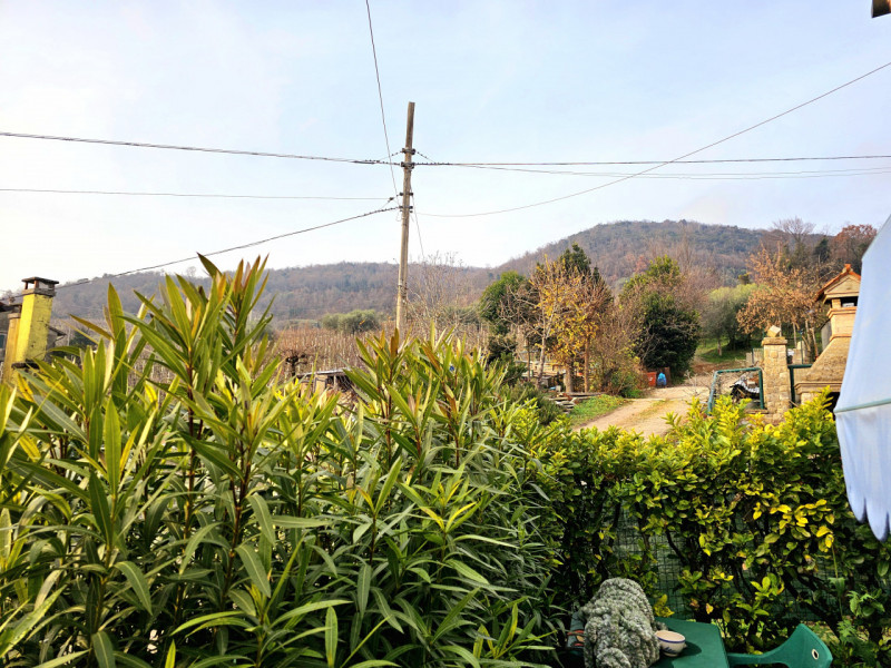 Nel cuore dei Colli Euganei, nella tranquilla località di Faedo frazione di Cinto Euganeo, propon...