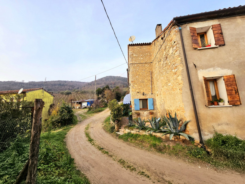 Nel cuore dei Colli Euganei, nella tranquilla località di Faedo frazione di Cinto Euganeo, propon...