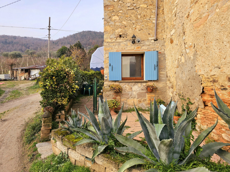 Nel cuore dei Colli Euganei, nella tranquilla località di Faedo frazione di Cinto Euganeo, propon...