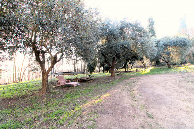 MONSELICE: proponiamo in vendita un affascinante rustico da ristrutturare situato nella tranquill...