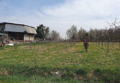 Rif. A.A.2504-24

Vendita all'asta - terreni agricoli in data 4 febbraio 2026

Descrizione: tratt...