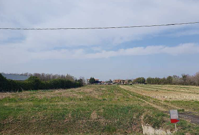 Rif. A.A.2504-24

Vendita all'asta - terreni agricoli in data 4 febbraio 2026

Descrizione: tratt...