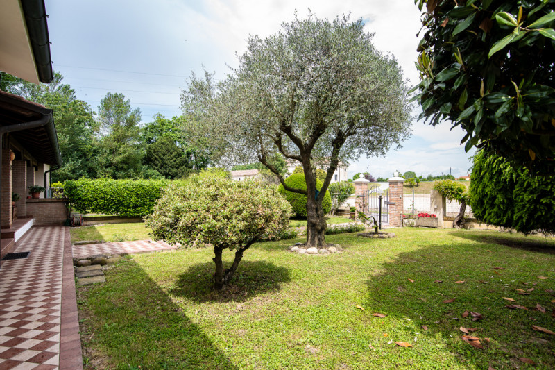 NOVENTA PADOVANA – Porzione di bifamiliare con giardino a pochi minuti dal centro

Proponiamo in ...
