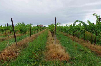 Rif. A.A.332-24

Vendita all'asta - fabbricati commerciali in data 06 febbraio 2026

Descrizione:...