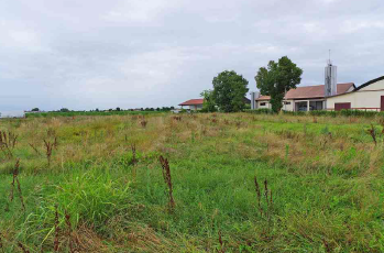 Rif. A.A.332-24

Vendita all'asta - fabbricati commerciali in data 06 febbraio 2026

Descrizione:...