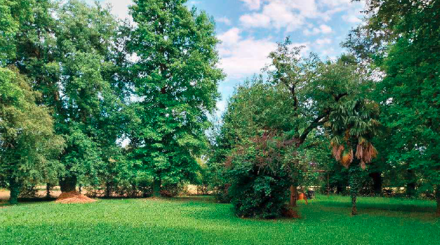 Rif. A.A.326-24

Vendita all'asta - abitazione unifamiliare con giardino in data 12 febbraio 2026...