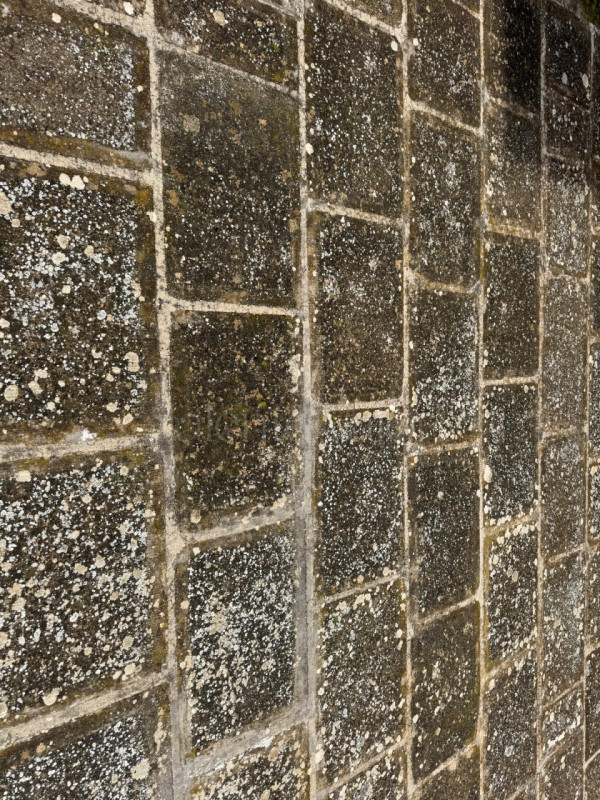 Casa singola a Parabita