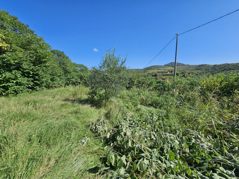 In una posizione privilegiata a Baone, località Valle San Giorgio, proponiamo in vendita porzione...