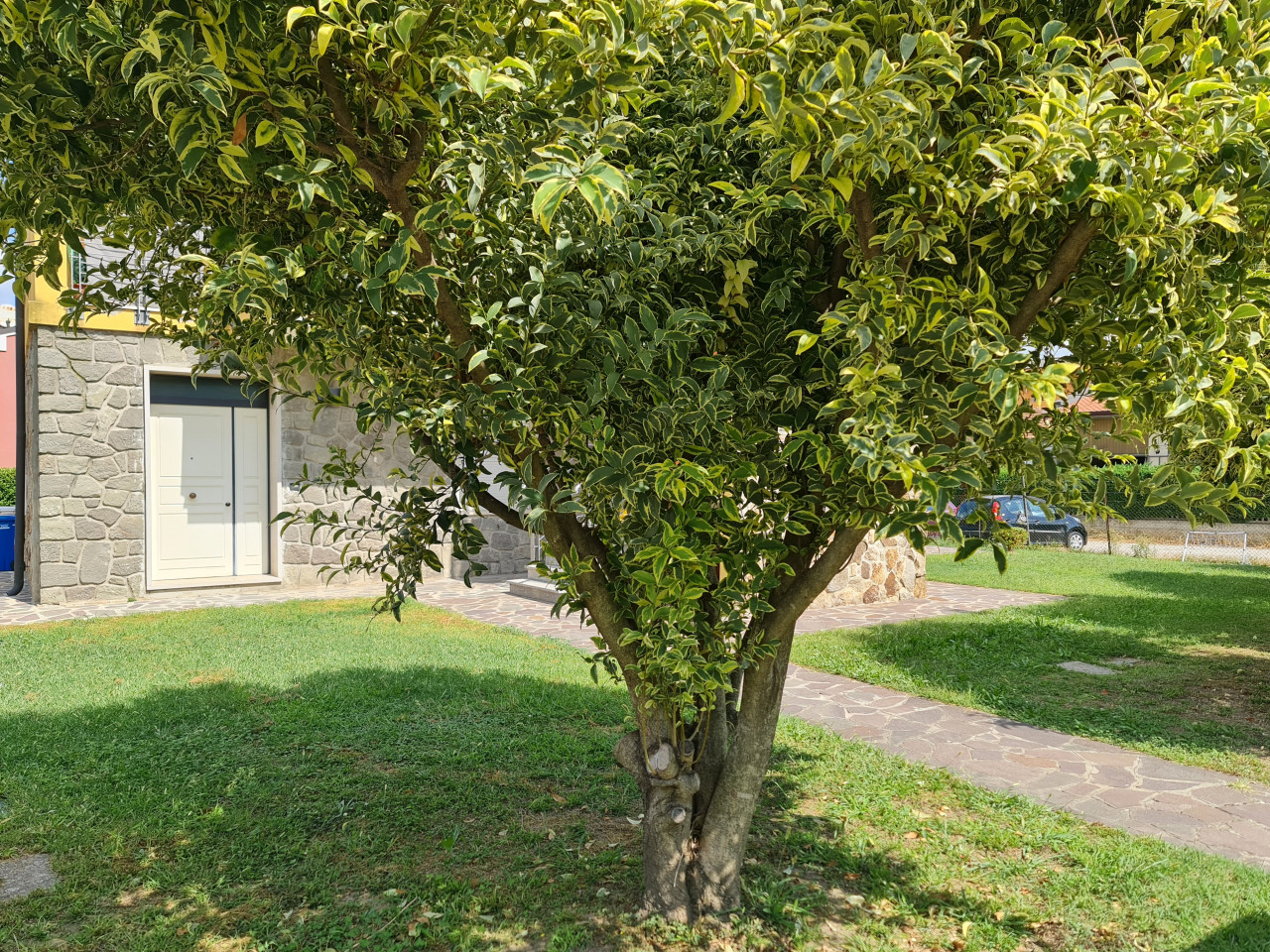 immagine annuncio 5 di 10