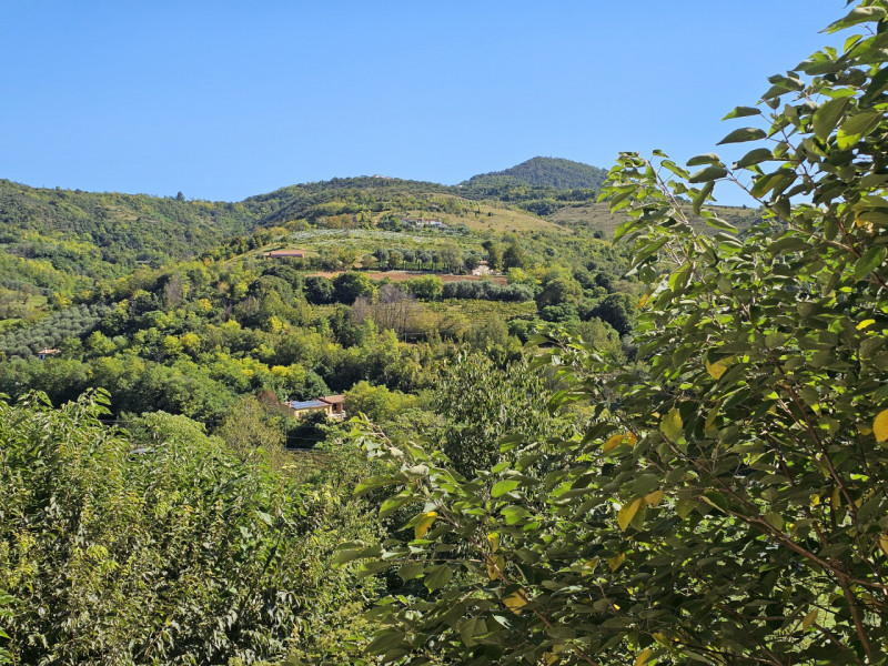 In una posizione privilegiata a Baone, località Valle San Giorgio, proponiamo in vendita porzione...