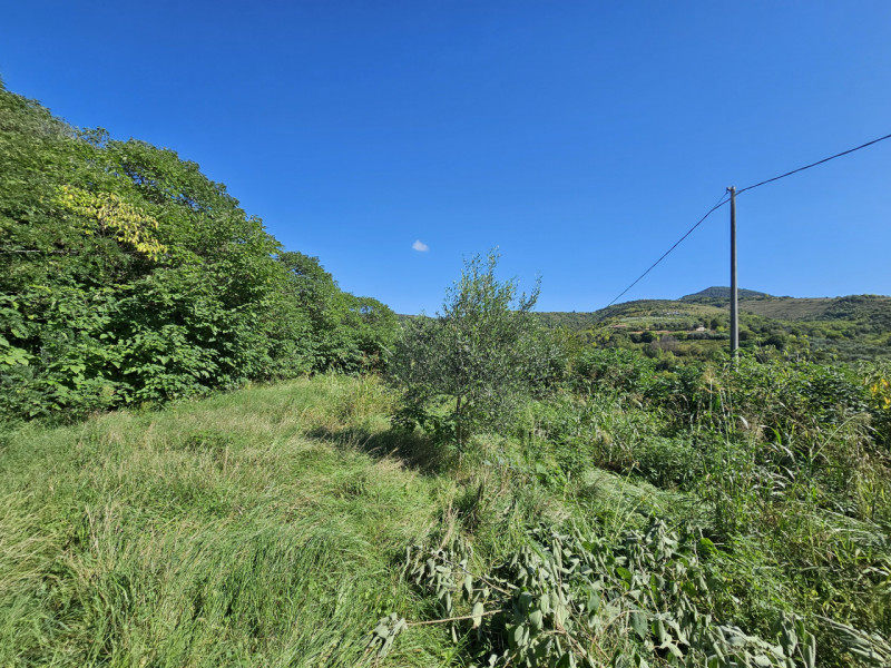 In una posizione privilegiata a Baone, località Valle San Giorgio, proponiamo in vendita porzione...