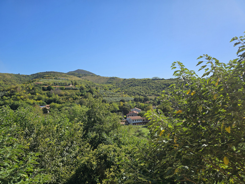 In una posizione privilegiata a Baone, località Valle San Giorgio, proponiamo in vendita porzione...
