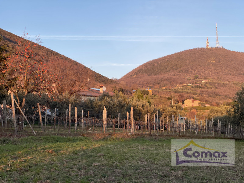 Cinto Euganeo Valnogaredo Rustico In zona collinare Panoramica con Bellissima vista sulla pianura...