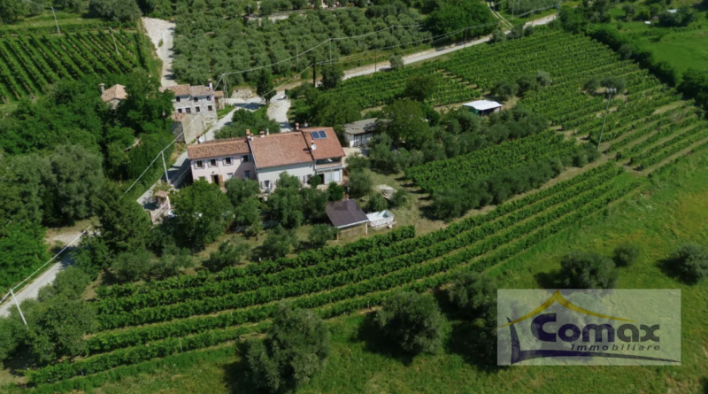 Cinto Euganeo Valnogaredo Rustico In zona collinare Panoramica con Bellissima vista sulla pianura...