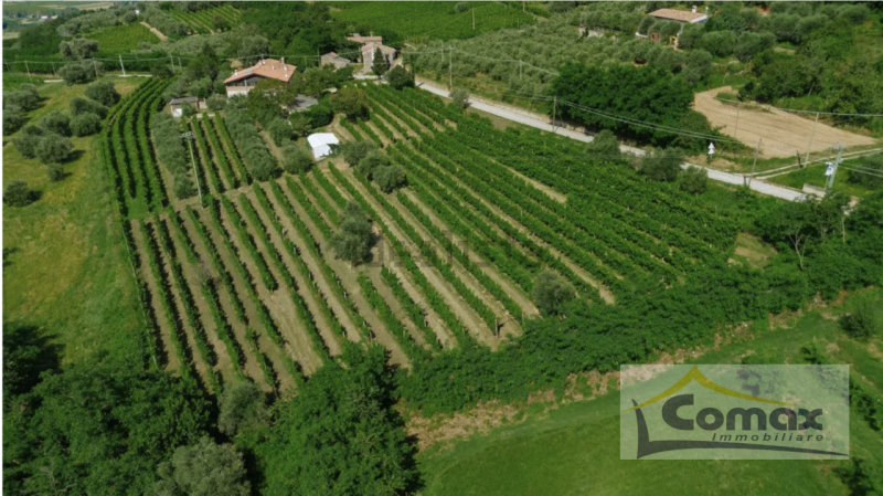 Cinto Euganeo Valnogaredo Rustico In zona collinare Panoramica con Bellissima vista sulla pianura...