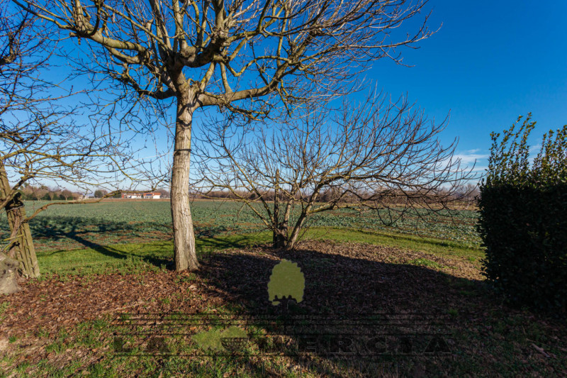 Immobile sito in Comune di Tribano, sviluppato su due livelli fuori terra e con
scoperto esclusiv...