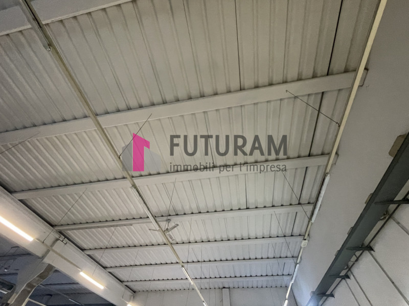 RIF: 124NM - VIGONOVO(VE) - PER INFO 340 335 8378 - 0444/310220


propongo in affitto un capannon...