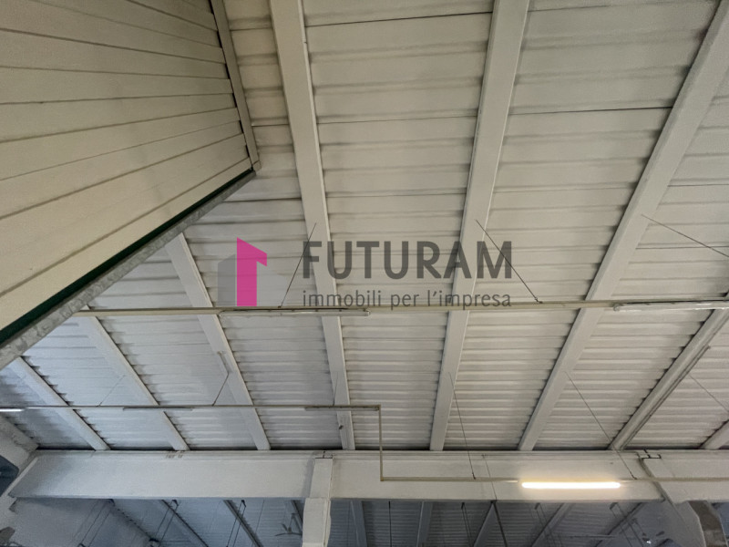 RIF: 124NM - VIGONOVO(VE) - PER INFO 340 335 8378 - 0444/310220


propongo in affitto un capannon...