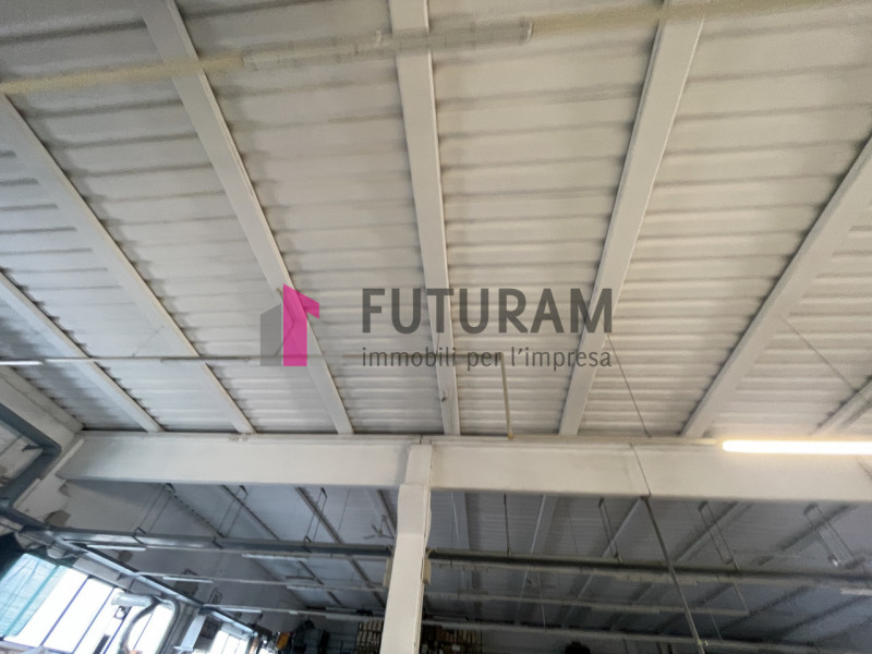 RIF: 124NM - VIGONOVO(VE) - PER INFO 340 335 8378 - 0444/310220


propongo in affitto un capannon...