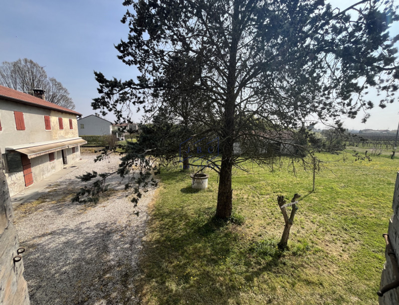 Navolè di Gorgo al Monticano (Treviso)


Se sei un amante della campagna e cerchi la tranquillità...
