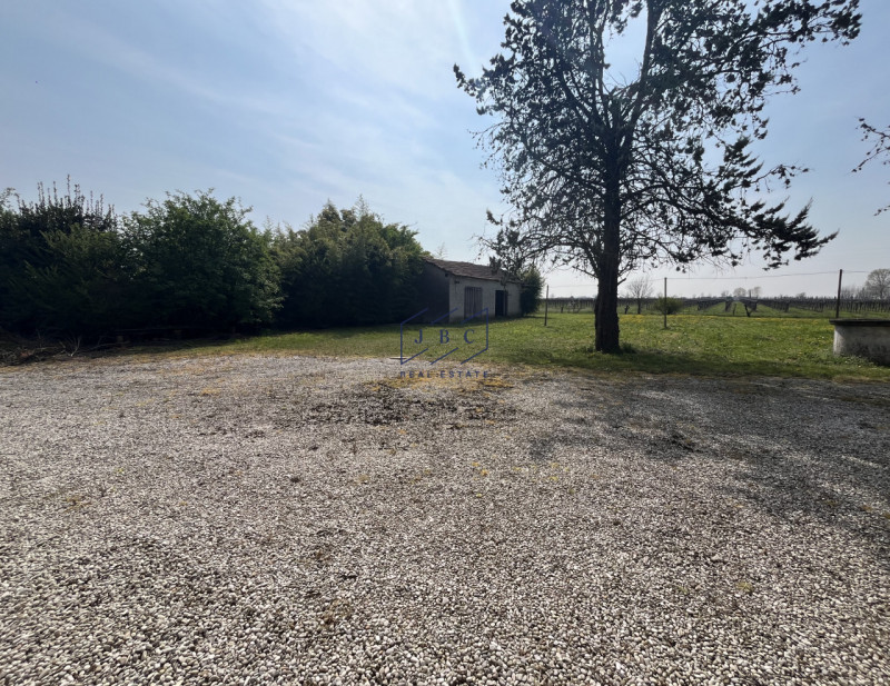 Navolè di Gorgo al Monticano (Treviso)


Se sei un amante della campagna e cerchi la tranquillità...