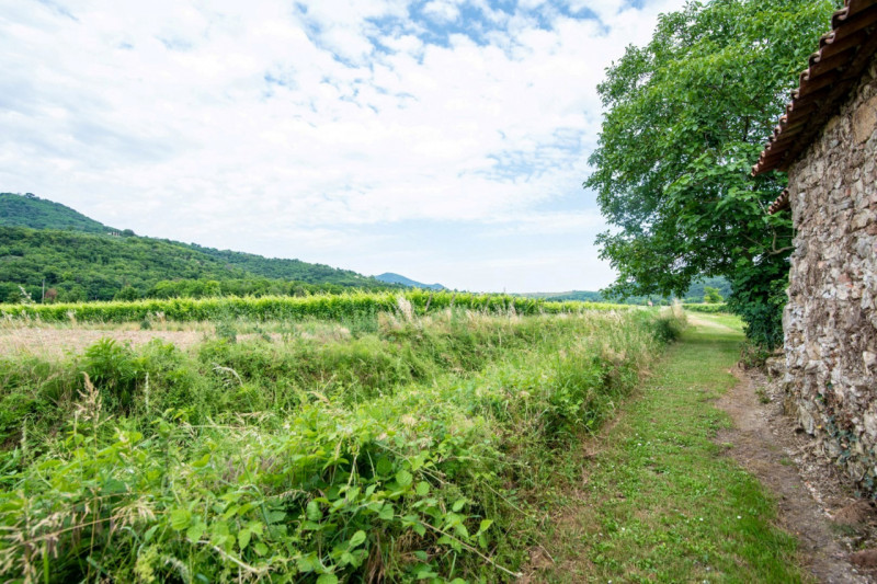 A Baone, nella rinomata Valle San Giorgio, proponiamo in vendita importante rustico di ampia metr...