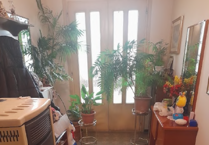 Rif. A.A.275-23

Vendita all'asta - casa singola su 2 livelli in data 19 febbraio 2026

Descrizio...