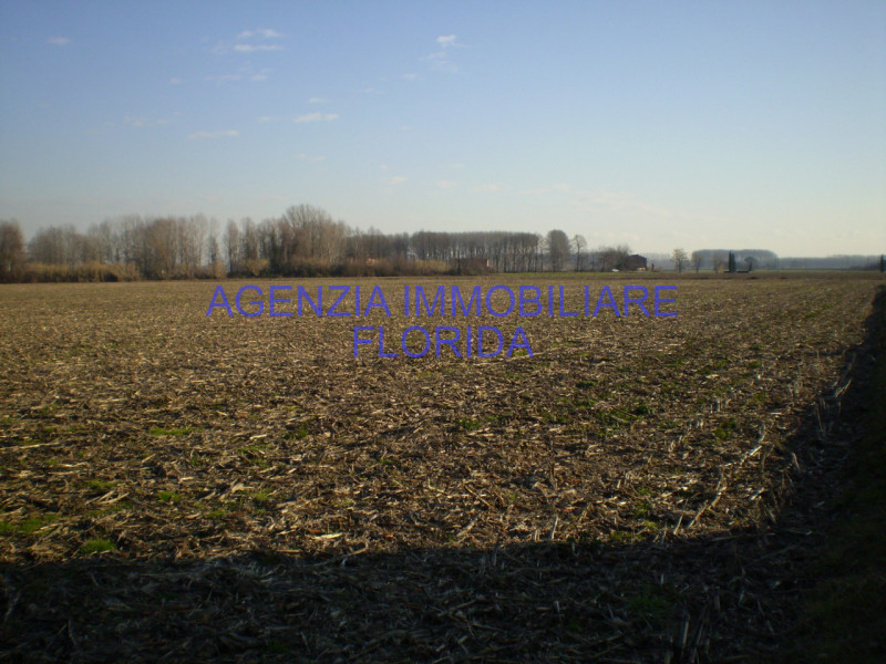 Loreggiola vendiamo terreno agricolo 7.530 mq, il terreno si presenta fertile e ben esposto al so...