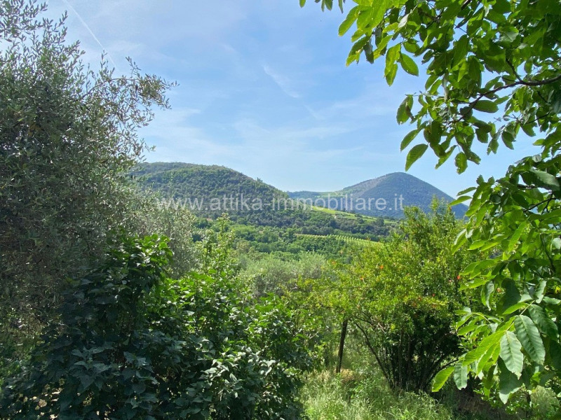 Antico rustico in pietra del 1600 immerso nella natura dei Colli Euganei con ubicazione favolosa....