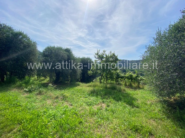 Antico rustico in pietra del 1600 immerso nella natura dei Colli Euganei con ubicazione favolosa....