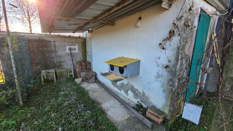 Cerchi una casa spaziosa, versatile e in posizione centrale, ideale per famiglie numerose o per c...