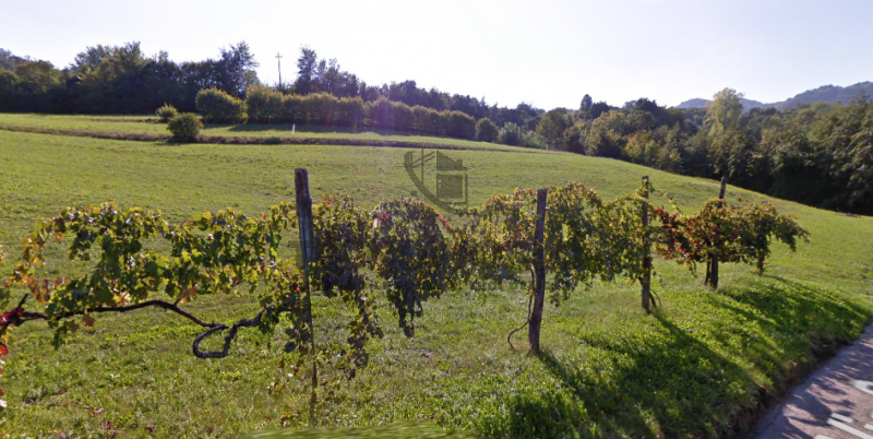 Scopri un'opportunità imperdibile con questo vasto terreno agricolo situato nel cuore di San Vito...