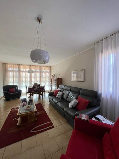 Cittadella vendesi casa singola con giardino di circa 1300 mq con impianto di irrigazione e robot...