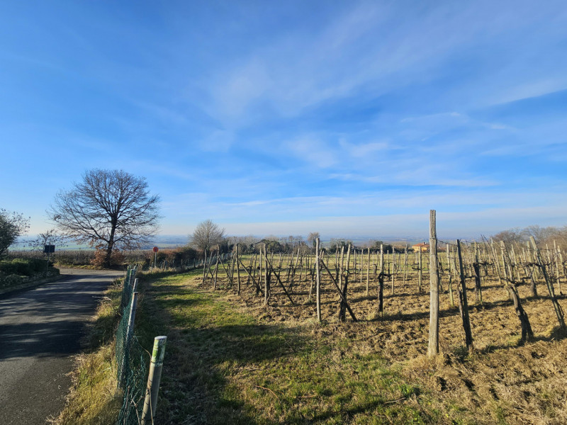 In una splendida posizione tra Este e Rivadolmo, proponiamo in vendita rustico completamente da r...
