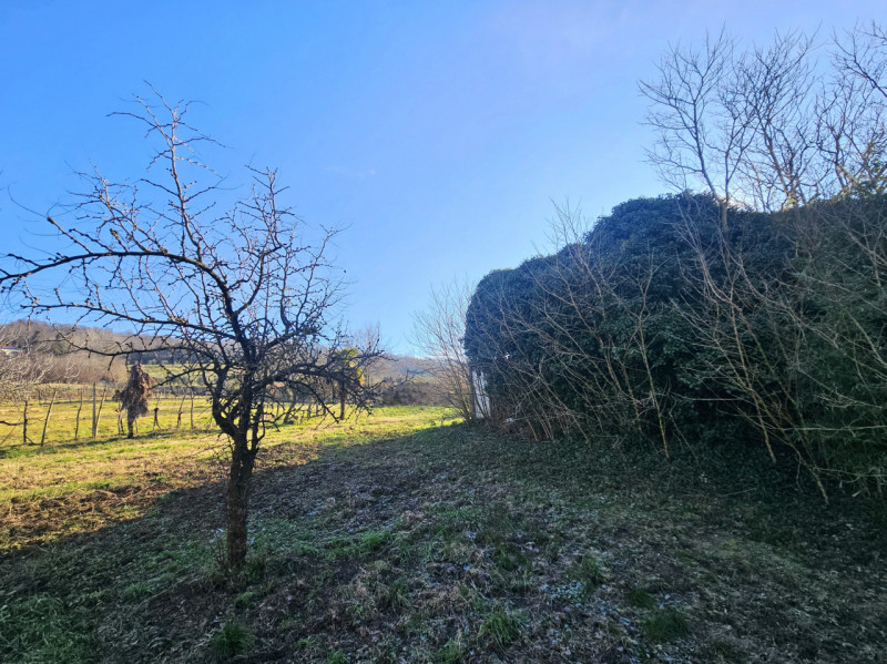 In una splendida posizione tra Este e Rivadolmo, proponiamo in vendita rustico completamente da r...