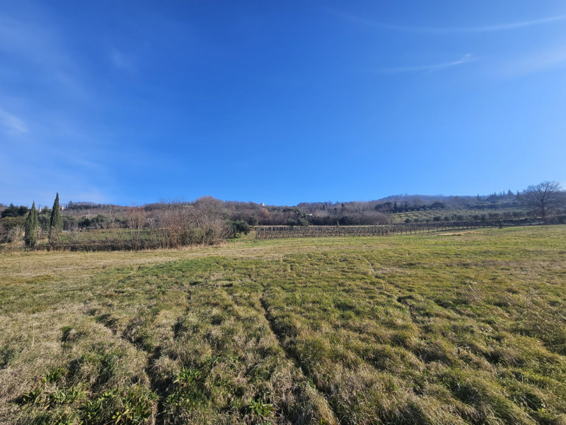 In una splendida posizione tra Este e Rivadolmo, proponiamo in vendita rustico completamente da r...