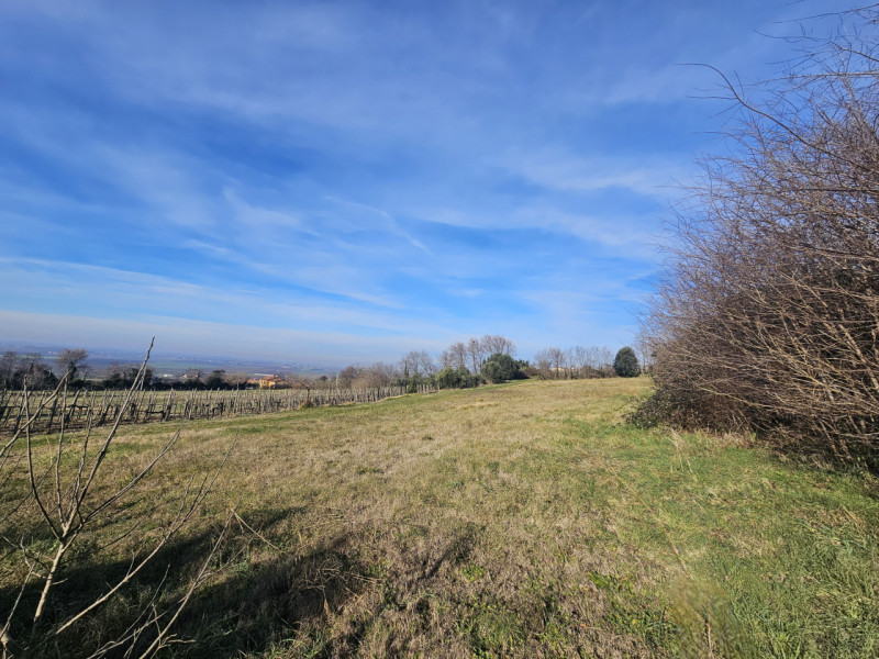 In una splendida posizione tra Este e Rivadolmo, proponiamo in vendita rustico completamente da r...