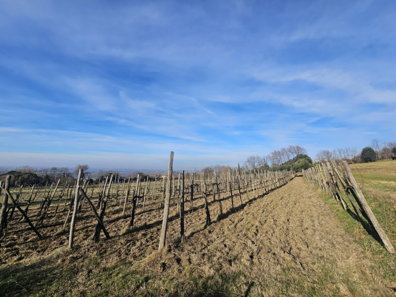 In una splendida posizione tra Este e Rivadolmo, proponiamo in vendita rustico completamente da r...