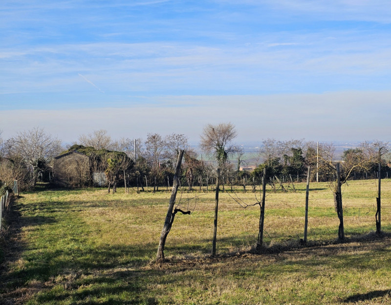 In una splendida posizione tra Este e Rivadolmo, proponiamo in vendita rustico completamente da r...