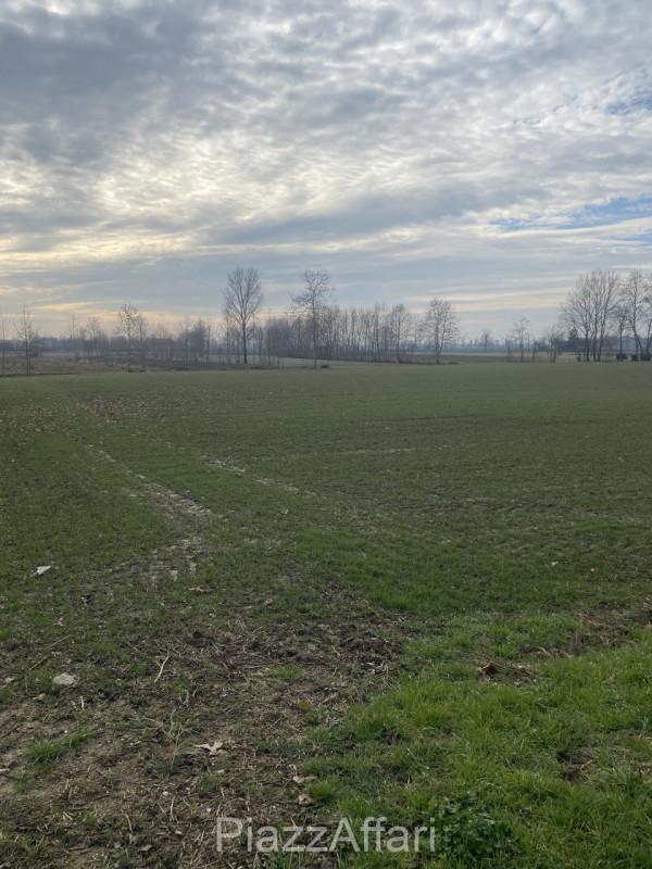 Nella frazione di Vallonga e più precisamente in Via Caresin, con accesso diretto dalla strada ch...