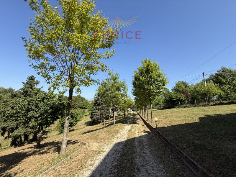 FENICE IMMOBILIARE presenta

Nel suggestivo scenario del Montello, a pochi chilometri dal centro ...