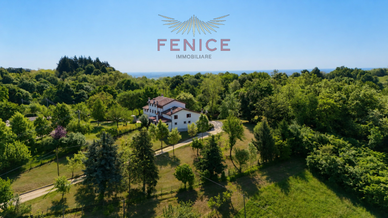 FENICE IMMOBILIARE presenta

Nel suggestivo scenario del Montello, a pochi chilometri dal centro ...